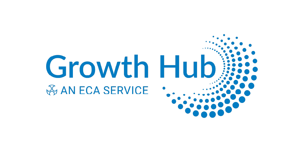 Give your views on potential AI Growth Hub course 